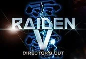 Raiden V: Director's Cut Steam CD Key — лицензионный ключ