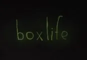 boxlife Steam CD Key — лицензионный ключ