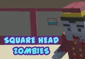 Square Head Zombies Steam CD Key — лицензионный ключ