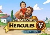12 Labours of Hercules V: Kids of Hellas Steam CD Key — лицензионный ключ