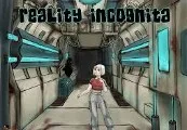 Reality Incognita Steam CD Key — лицензионный ключ
