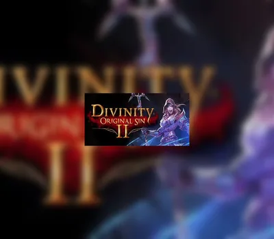 Divinity: Original Sin 2 GOG CD Key — лицензионный ключ