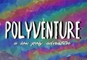 Polyventure Steam CD Key — лицензионный ключ