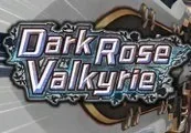 Dark Rose Valkyrie Steam CD Key — лицензионный ключ