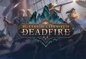 Pillars of Eternity II: Deadfire EU Steam CD Key — лицензионный ключ