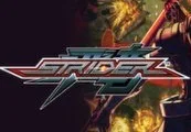 STRIDER / ストライダー飛竜 RU VPN Activated Steam CD Key — лицензионный ключ