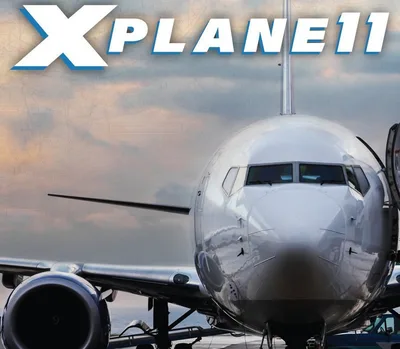 X-Plane 11 Digital Download CD Key — лицензионный ключ