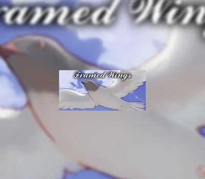 Framed Wings Steam CD Key — лицензионный ключ