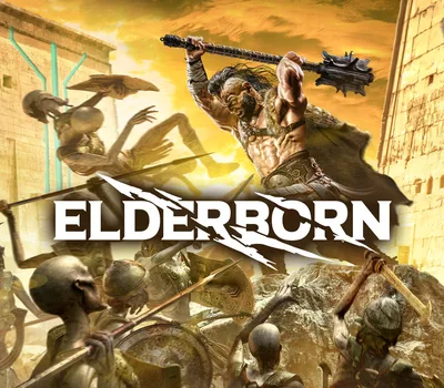 ELDERBORN PC Steam CD Key — лицензионный ключ