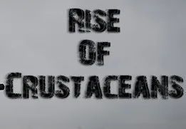 Rise of Crustaceans Steam CD Key — лицензионный ключ
