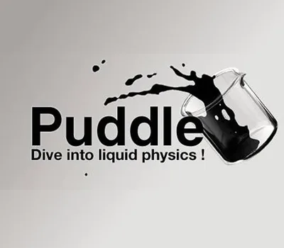 Puddle EU Steam CD Key — лицензионный ключ