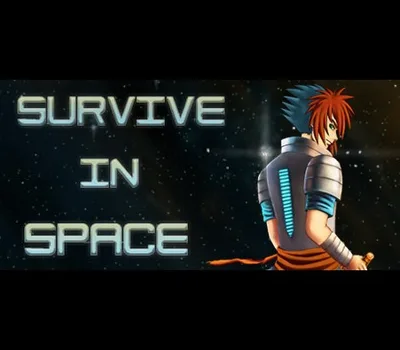 Survive in Space EU Steam CD Key — лицензионный ключ