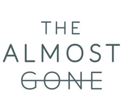 The Almost Gone Steam CD Key — лицензионный ключ