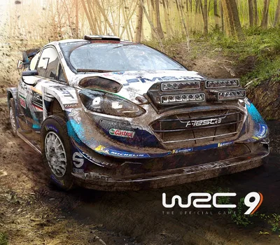 WRC 9 FIA World Rally Championship PC Epic Games CD Key — лицензионный ключ