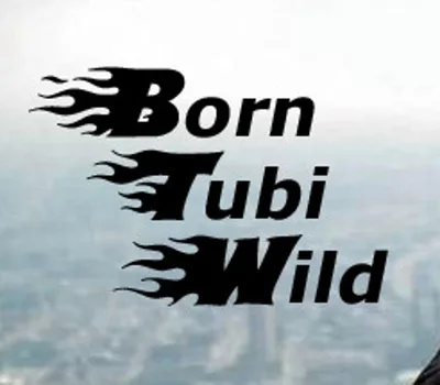 Born Tubi Wild Steam CD Key — лицензионный ключ