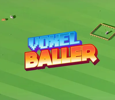 Voxel Baller Steam CD Key — лицензионный ключ