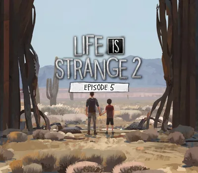 Life is Strange 2 - Episode 5 EU Steam CD Key — лицензионный ключ