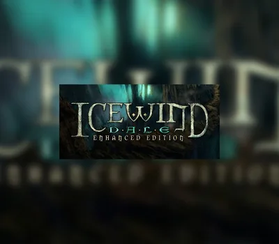 Icewind Dale: Enhanced Edition EU PC Steam CD Key — лицензионный ключ