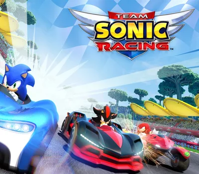 Team Sonic Racing US XBOX One CD Key — лицензионный ключ