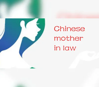 Chinese Mother in Law Steam CD Key — лицензионный ключ