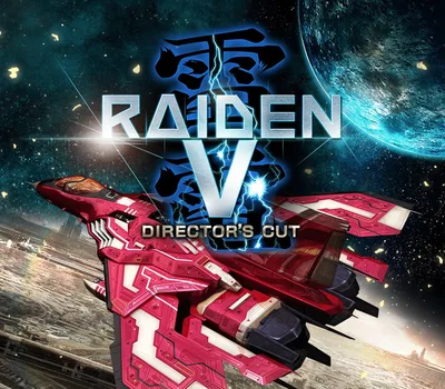 Raiden V: Director's Cut EU Steam CD Key — лицензионный ключ