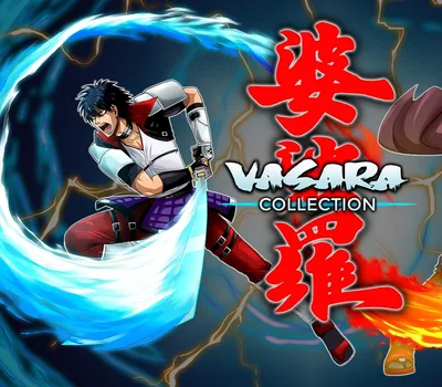VASARA Collection PC Steam CD Key — лицензионный ключ