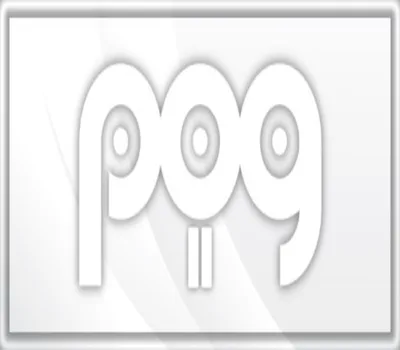 POG 2 Steam CD Key — лицензионный ключ