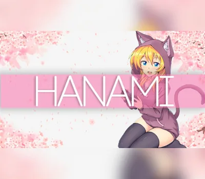HANAMI Steam CD Key — лицензионный ключ