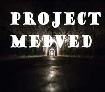 Project Medved Steam CD Key — лицензионный ключ