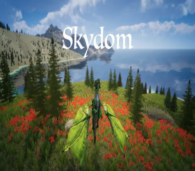 Skydom Steam CD Key — лицензионный ключ