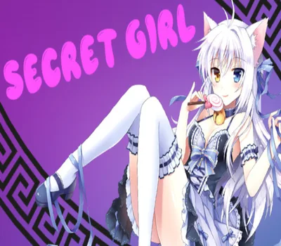 Secret Girl Steam CD Key — лицензионный ключ