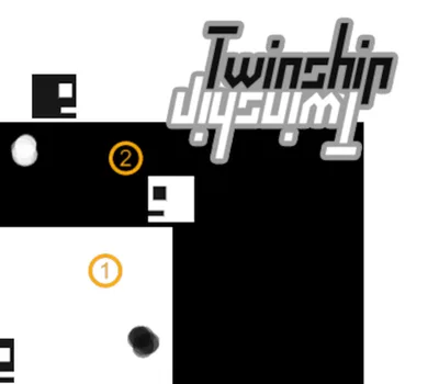 Twinship Steam CD Key — лицензионный ключ