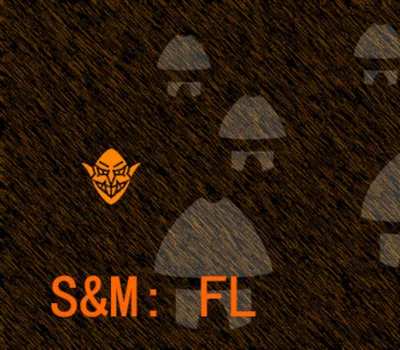 S&M: FL Steam CD Key — лицензионный ключ