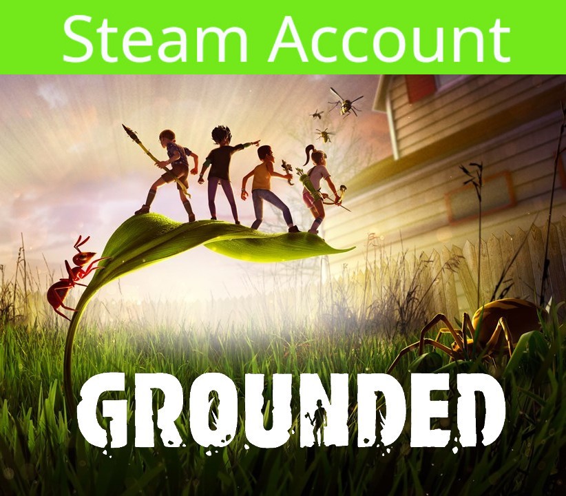 Grounded PC Steam Account