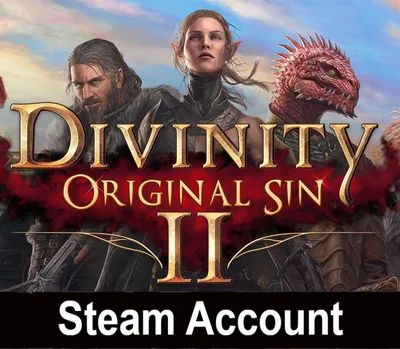 Divinity: Original Sin 2 Steam Account — лицензионный ключ