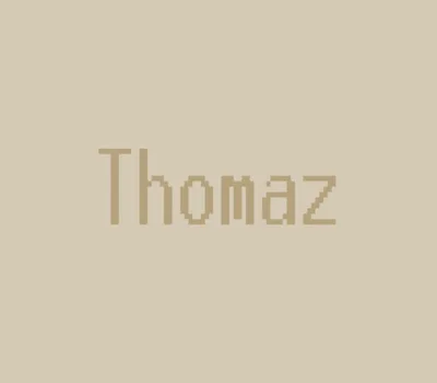 Thomaz Steam CD Key — лицензионный ключ