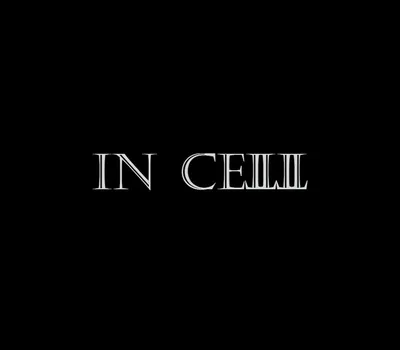 IN CELL Steam CD Key — лицензионный ключ