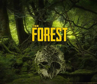 The Forest Steam Account — лицензионный ключ