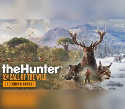 theHunter: Call of the Wild - Greenhorn Bundle Steam Account — лицензионный ключ