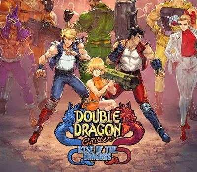 Double Dragon Gaiden: Rise Of The Dragons Steam Account — лицензионный ключ
