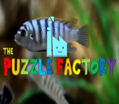 The Puzzle Factory Steam CD Key — лицензионный ключ