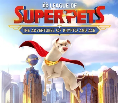 DC League of Super-Pets: The Adventures of Krypto and Ace Steam CD Key — лицензионный ключ