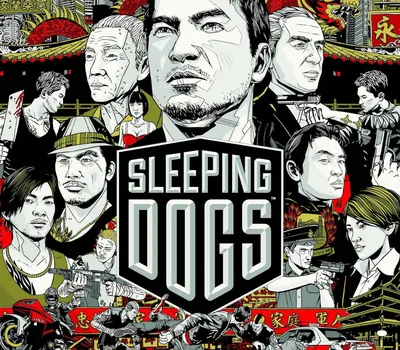 Sleeping Dogs DE PC Steam CD Key — лицензионный ключ