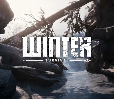 Winter Survival EU Steam CD Key — лицензионный ключ