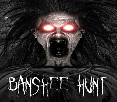 Banshee Hunt Steam CD Key — лицензионный ключ