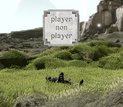 Player Non Player Steam CD Key — лицензионный ключ