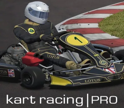 Kart Racing Pro PC Steam Account — лицензионный ключ