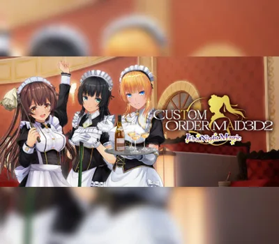 CUSTOM ORDER MAID 3D2 It's a Night Magic PC Steam Account — лицензионный ключ