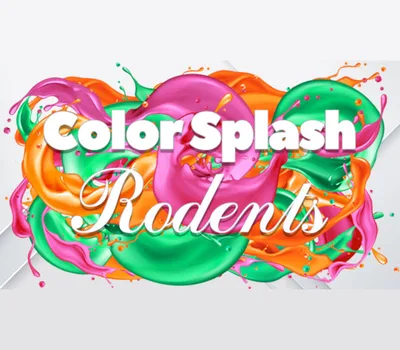 Color Splash: Rodents PC Steam CD Key — лицензионный ключ