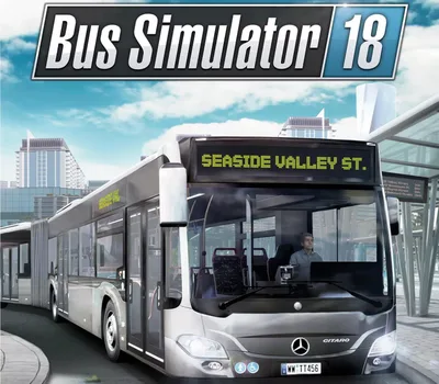 Bus Simulator 18 PC Steam Account — лицензионный ключ